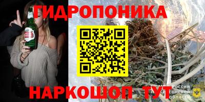 шишки Волжск