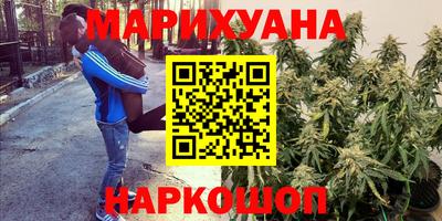 шишки Волжск