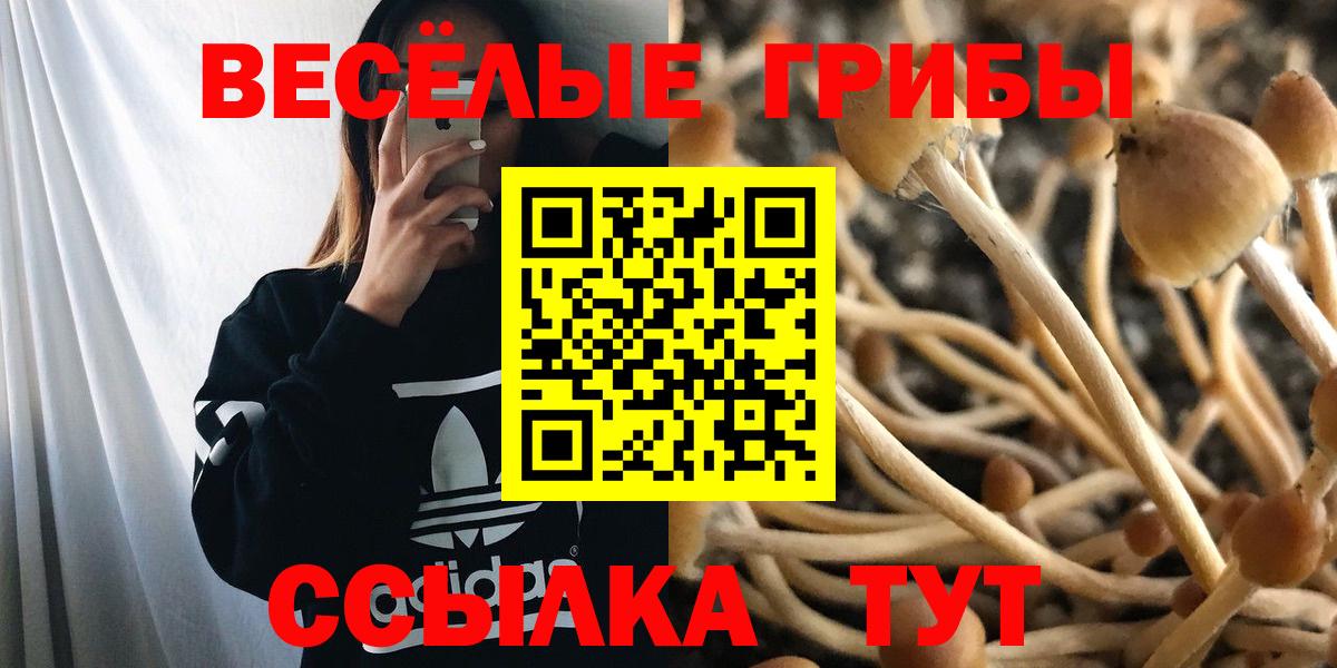 Шебекино  Псилоцибиновые грибы ЛСД  Вход с VPN 